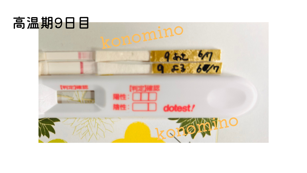 【高温期9日目】ドゥテストフライング真っ白で陰性の写真